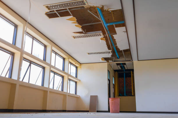 Best 24/7 water damage repair  in Punta Rassa, FL