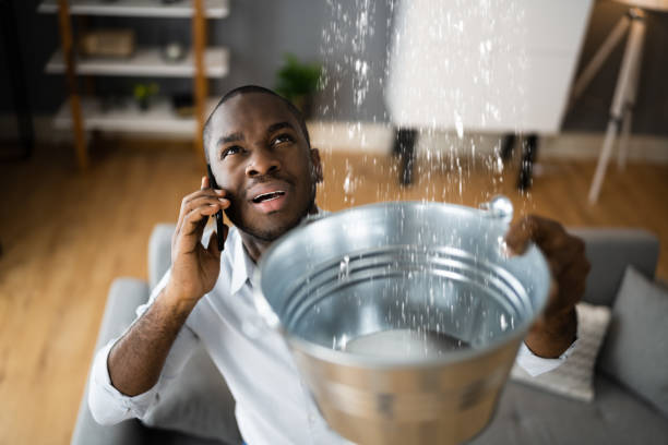 Best Ceiling water damage repair  in Punta Rassa, FL