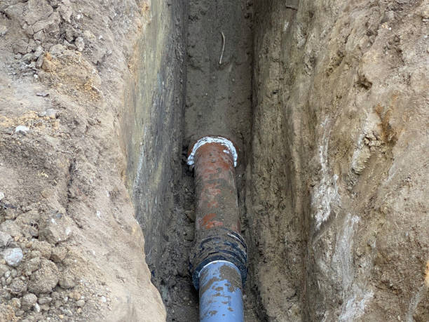 Best Professional water damage repair  in Punta Rassa, FL