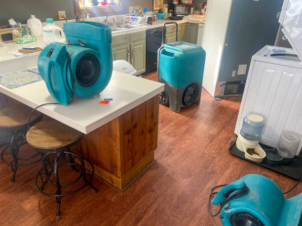 Best Flooded house restoration  in Punta Rassa, FL