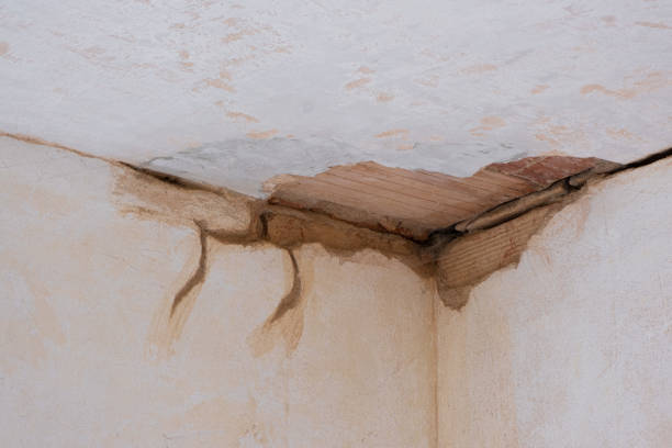 Best Local water damage restoration  in Punta Rassa, FL