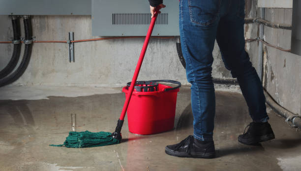 Best Water damage restoration specialists  in Punta Rassa, FL
