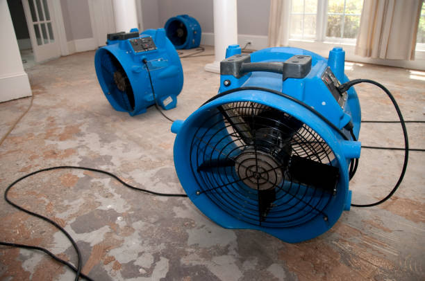 Best 24/7 water damage repair  in Punta Rassa, FL