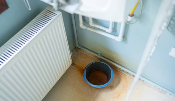 Best Mold removal after water damage  in Punta Rassa, FL